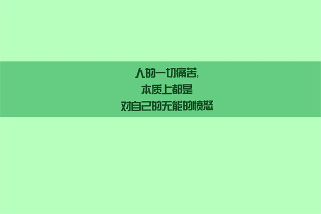 巴黎圣母院读后感800字