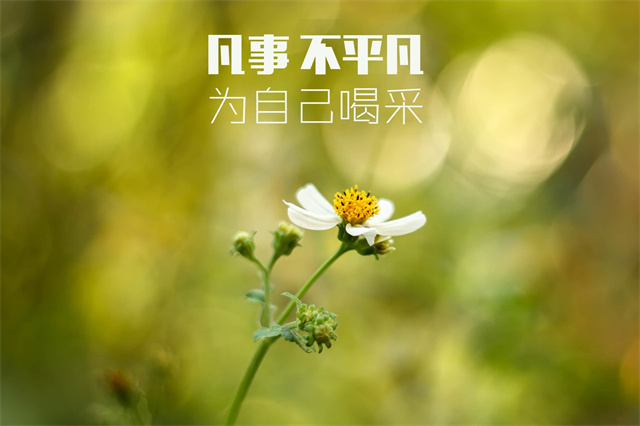 齐桓公管仲鲍叔